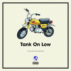 Cover of Tank on Low