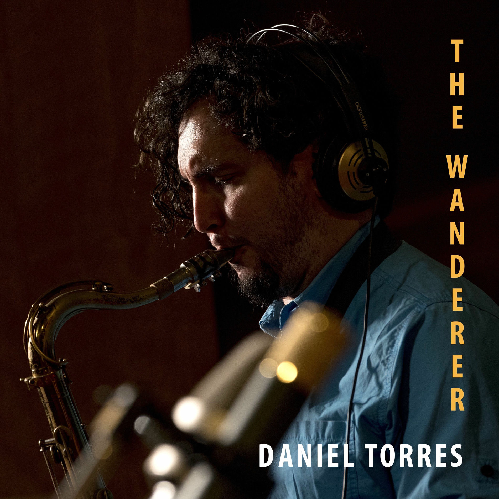 Album cover of The Wanderer