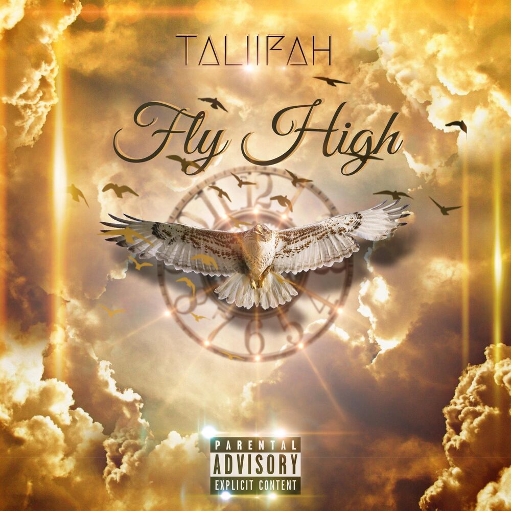 Picture of Fly High