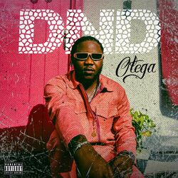 Cover of dnd