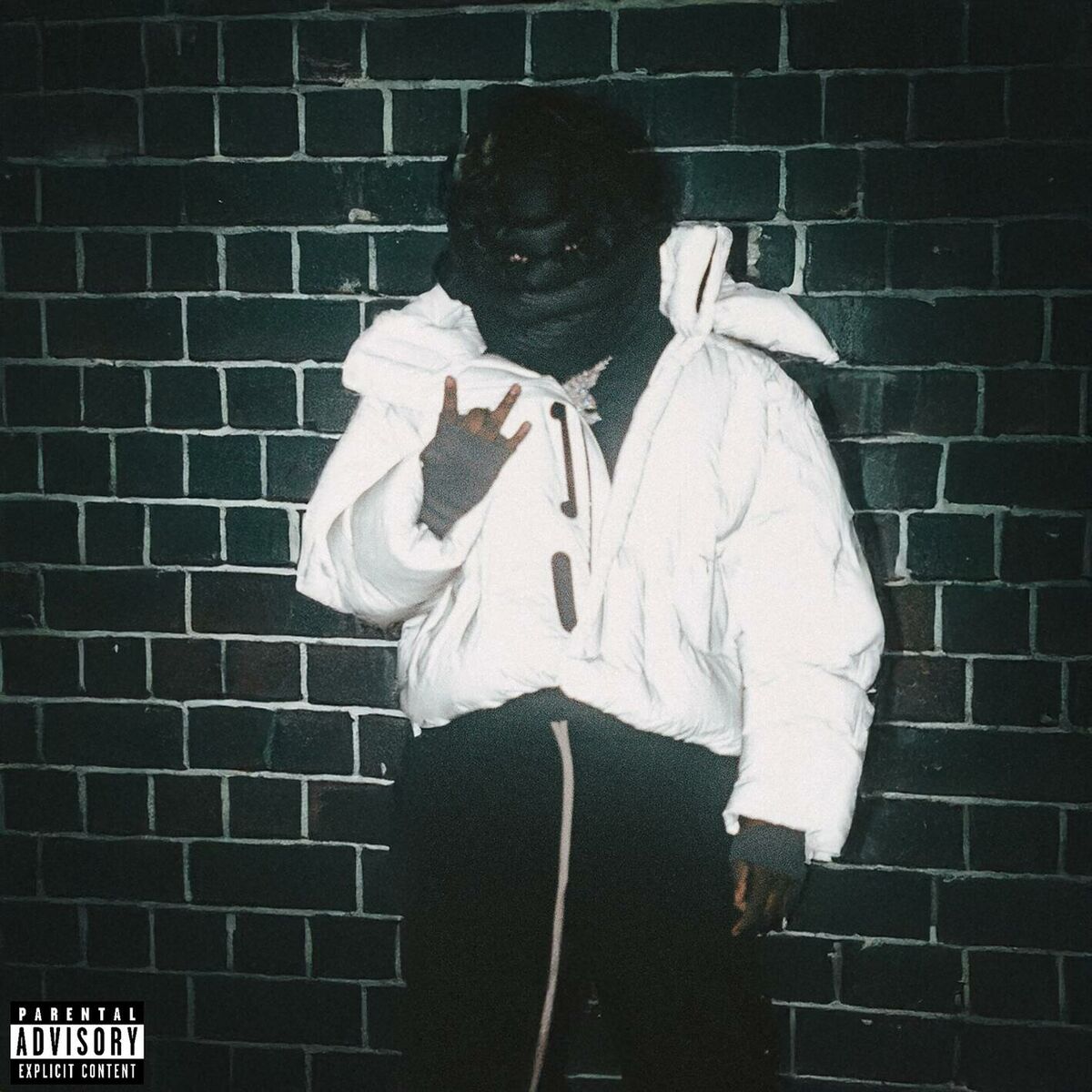 Album cover of Wicked West