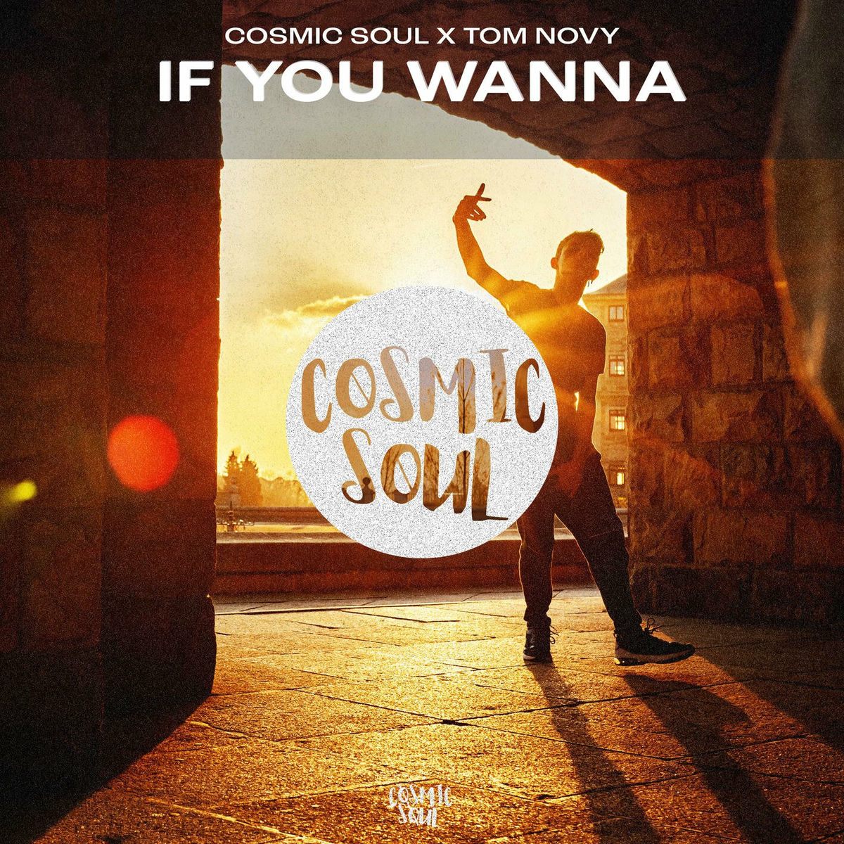 Album cover of If You Wanna