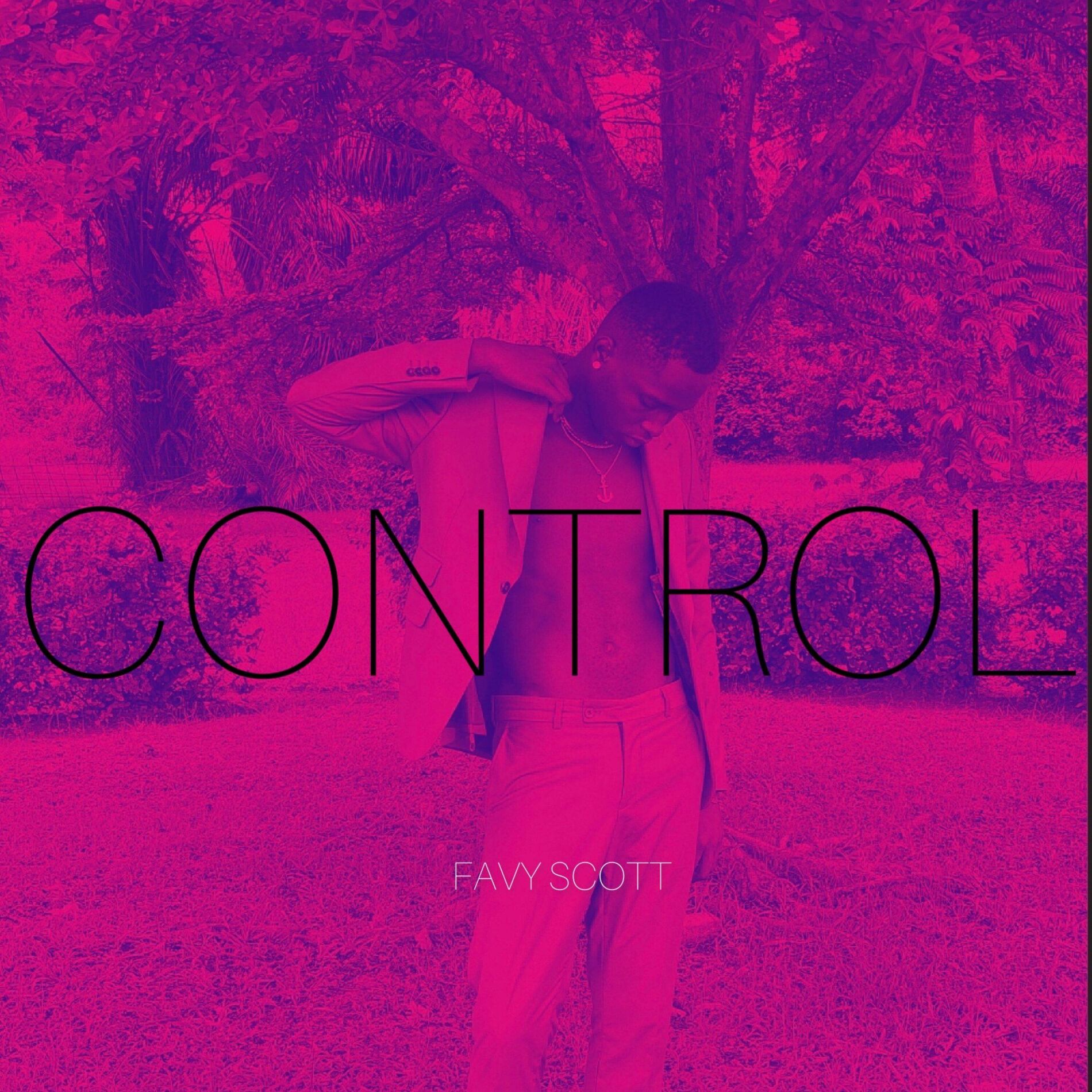 Album cover of Control
