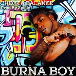 Cover of Check and Balance