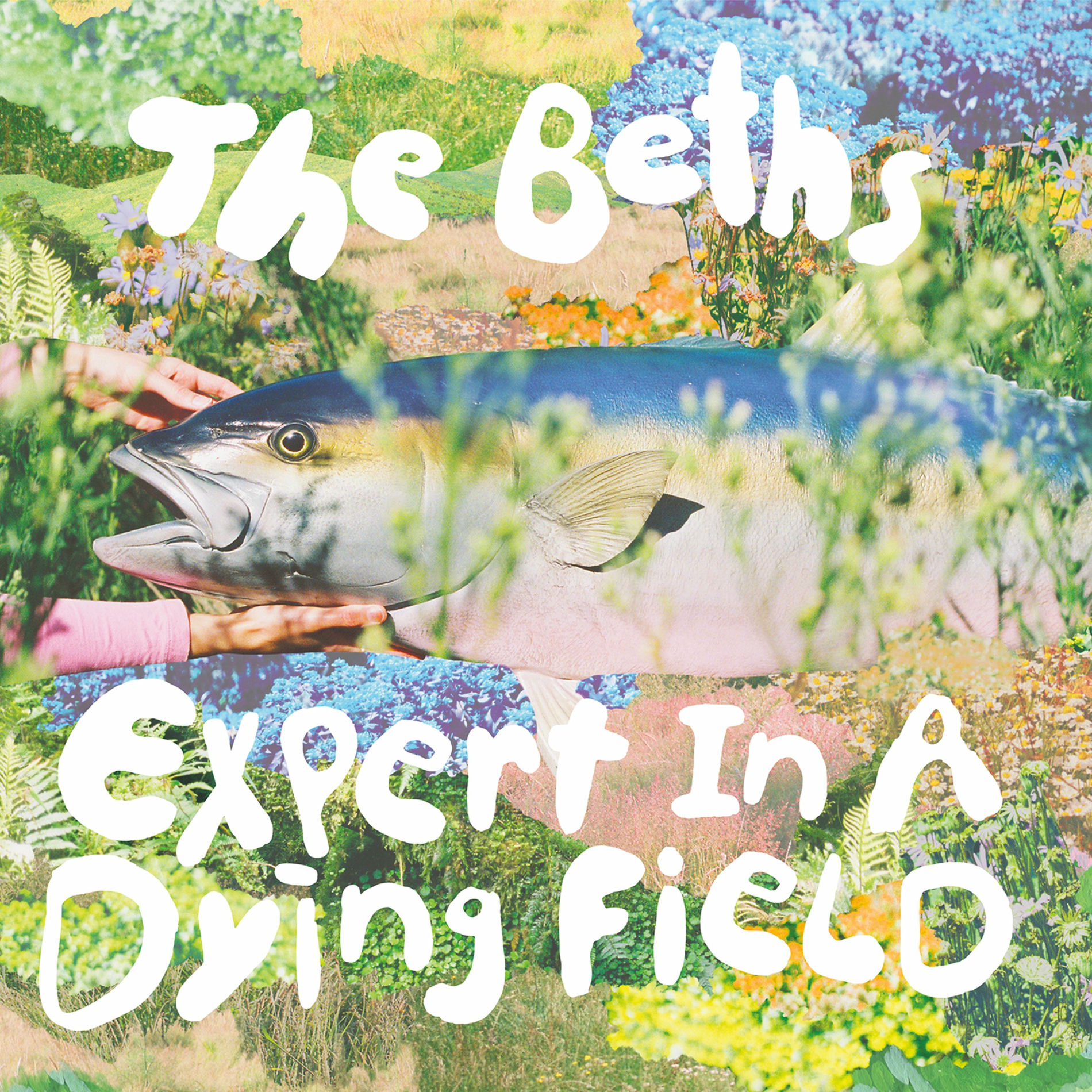 Album cover of Expert In A Dying Field (Deluxe)