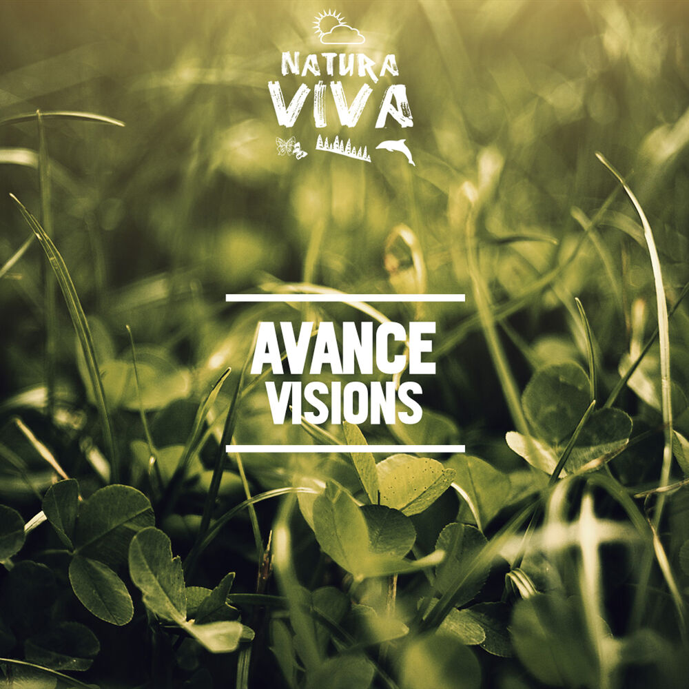 Picture of Visions