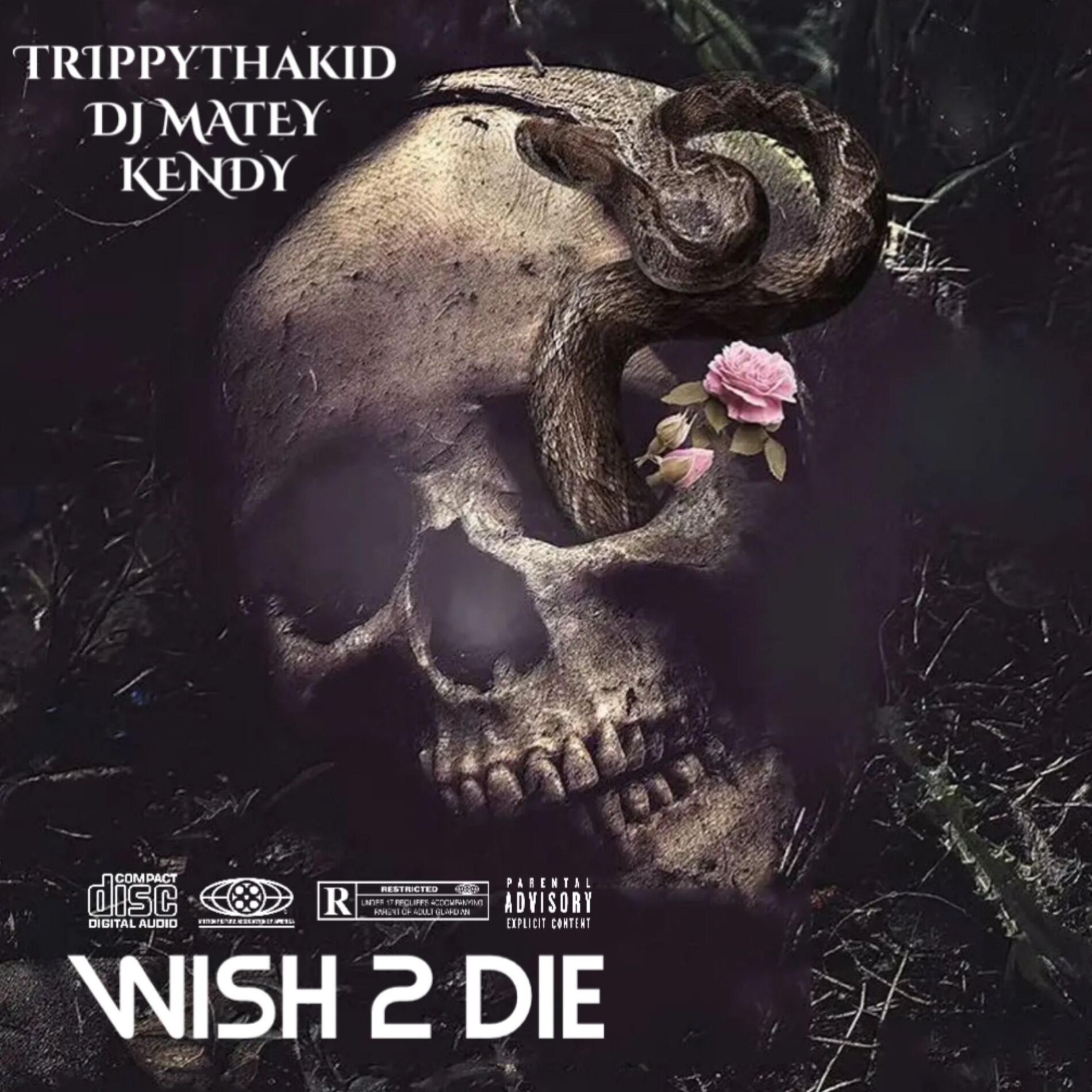Album cover of WISH 2 DIE (feat. TrippyThaKid)