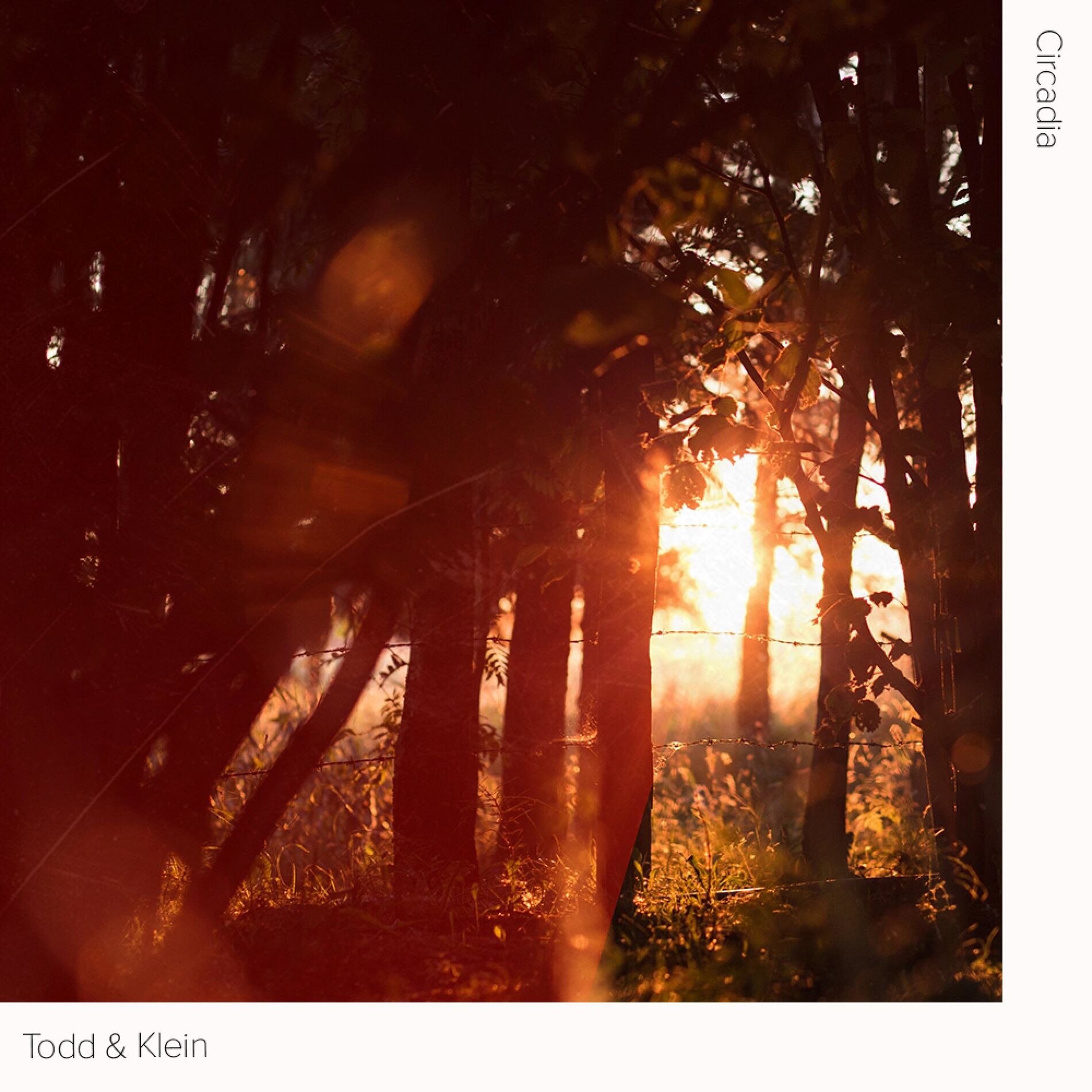 Album cover of Circadia