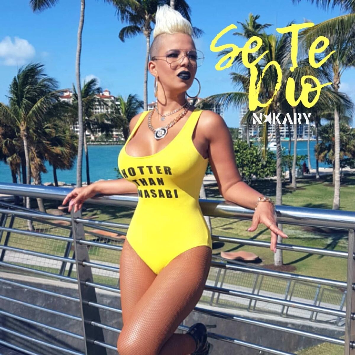Album cover of Se Te Dio