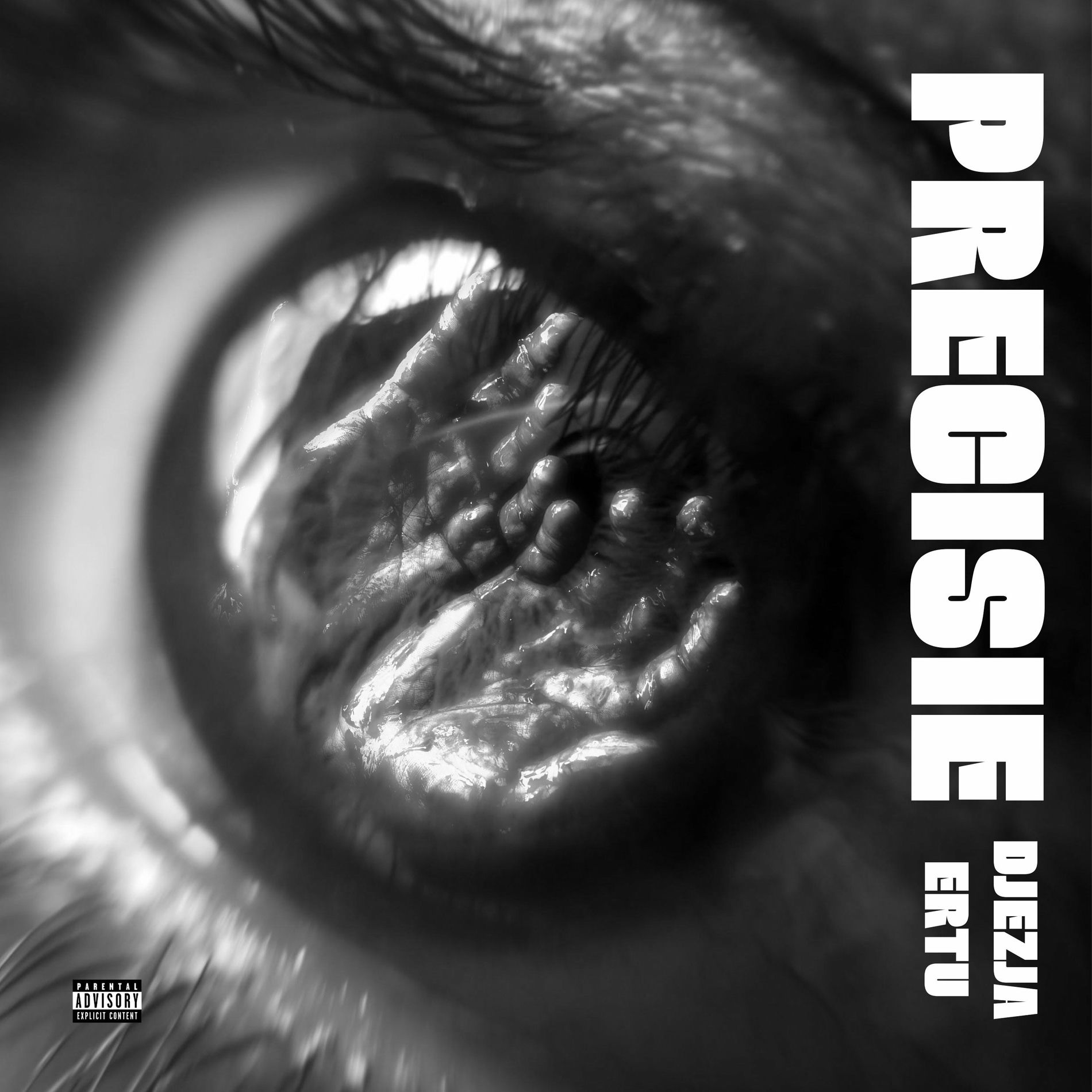 Album cover of PRECISIE