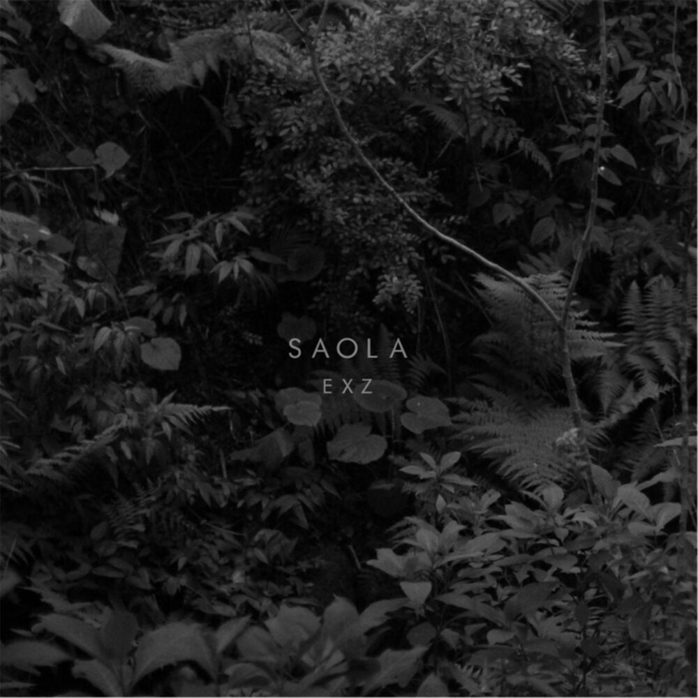 Picture of Saola