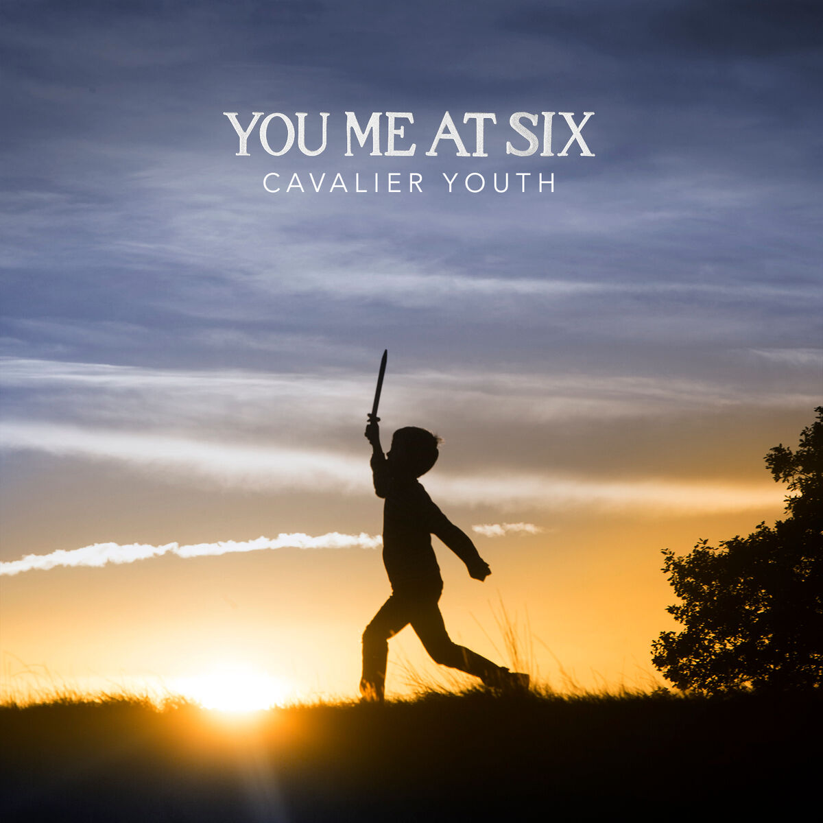 Album cover of Lived a Lie