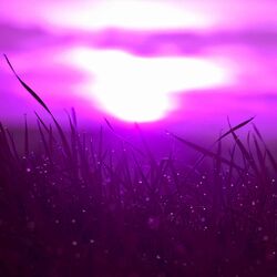 Cover of Music for Evening Mixes - Acoustic and Electric Piano Duo