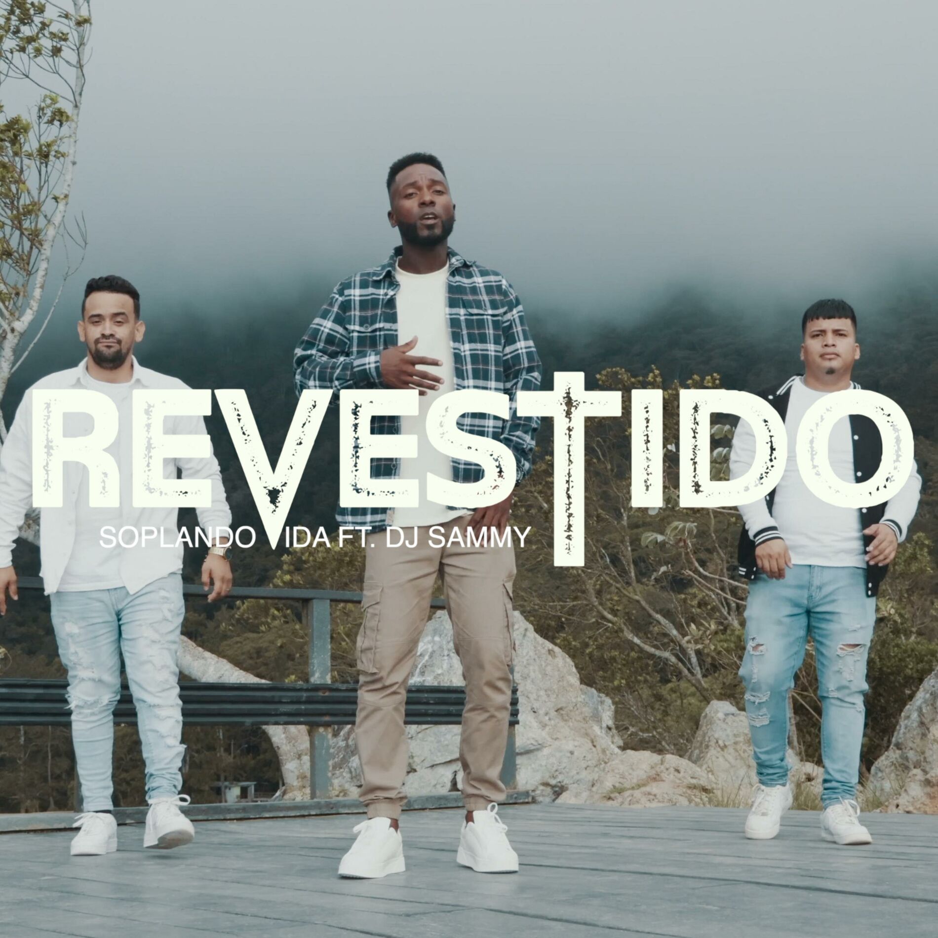 Album cover of Revestido (feat. Dj Sammy)