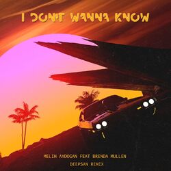I Don't Wanna Know (Deepsan Remix)