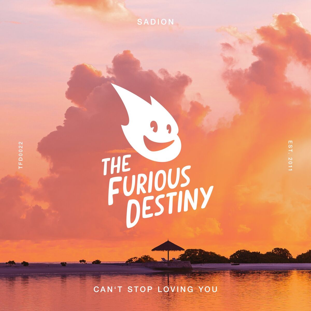 Album cover of Can't Stop Loving You