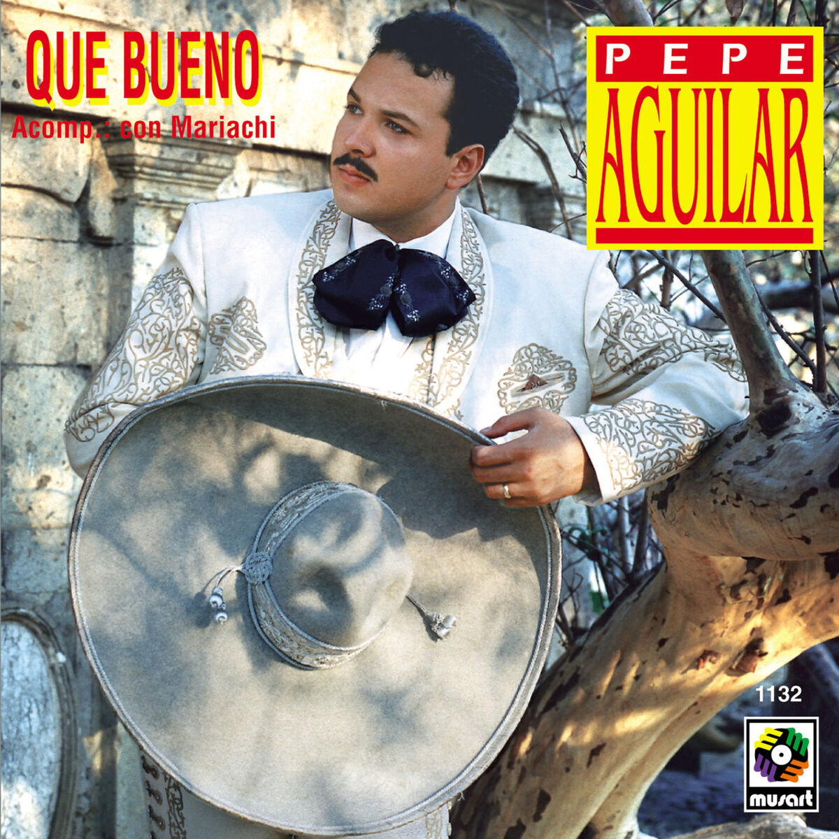 Album cover of Qué Bueno