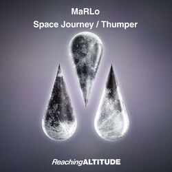 Cover of Space Journey / Thumper