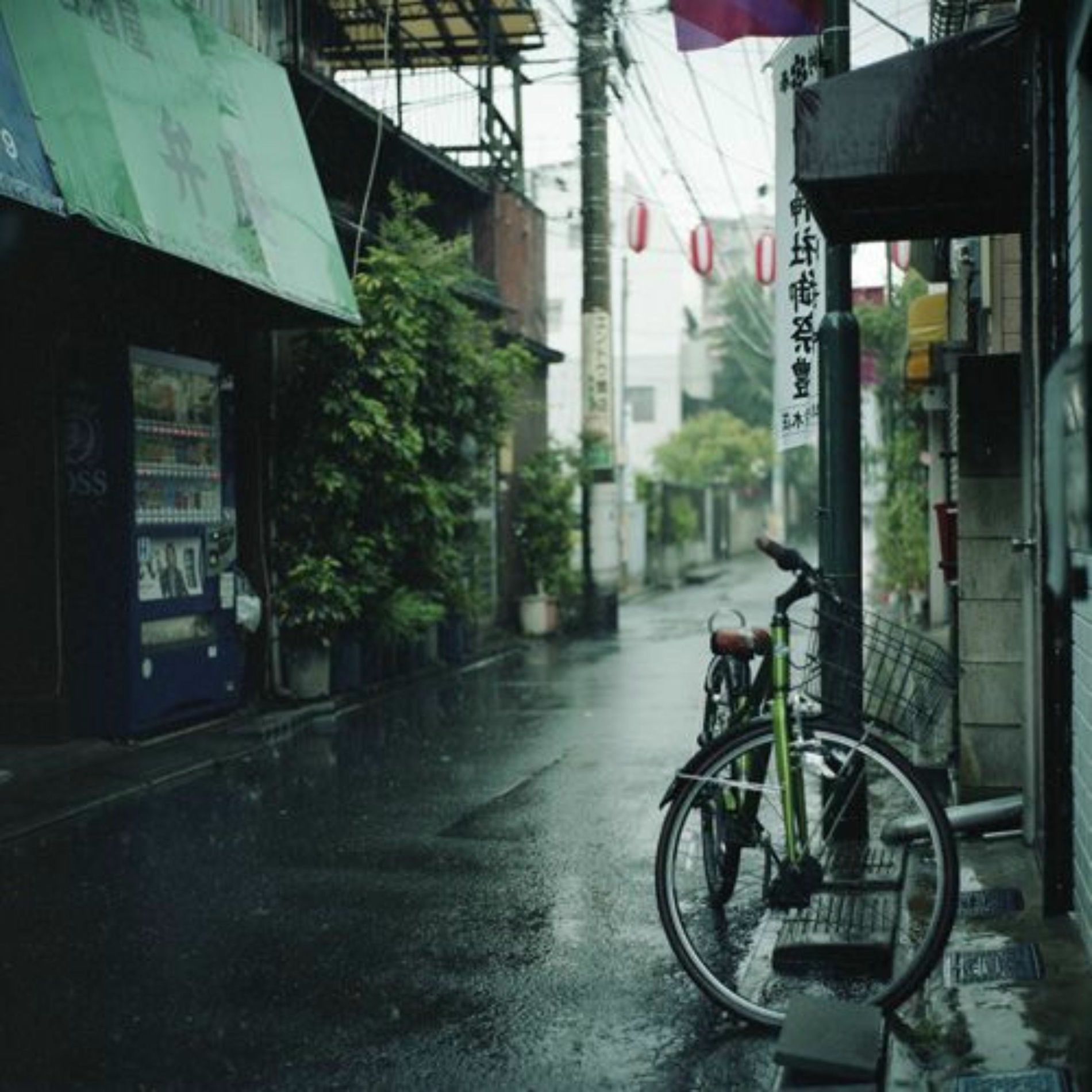 Album cover of A Walk In The Rain