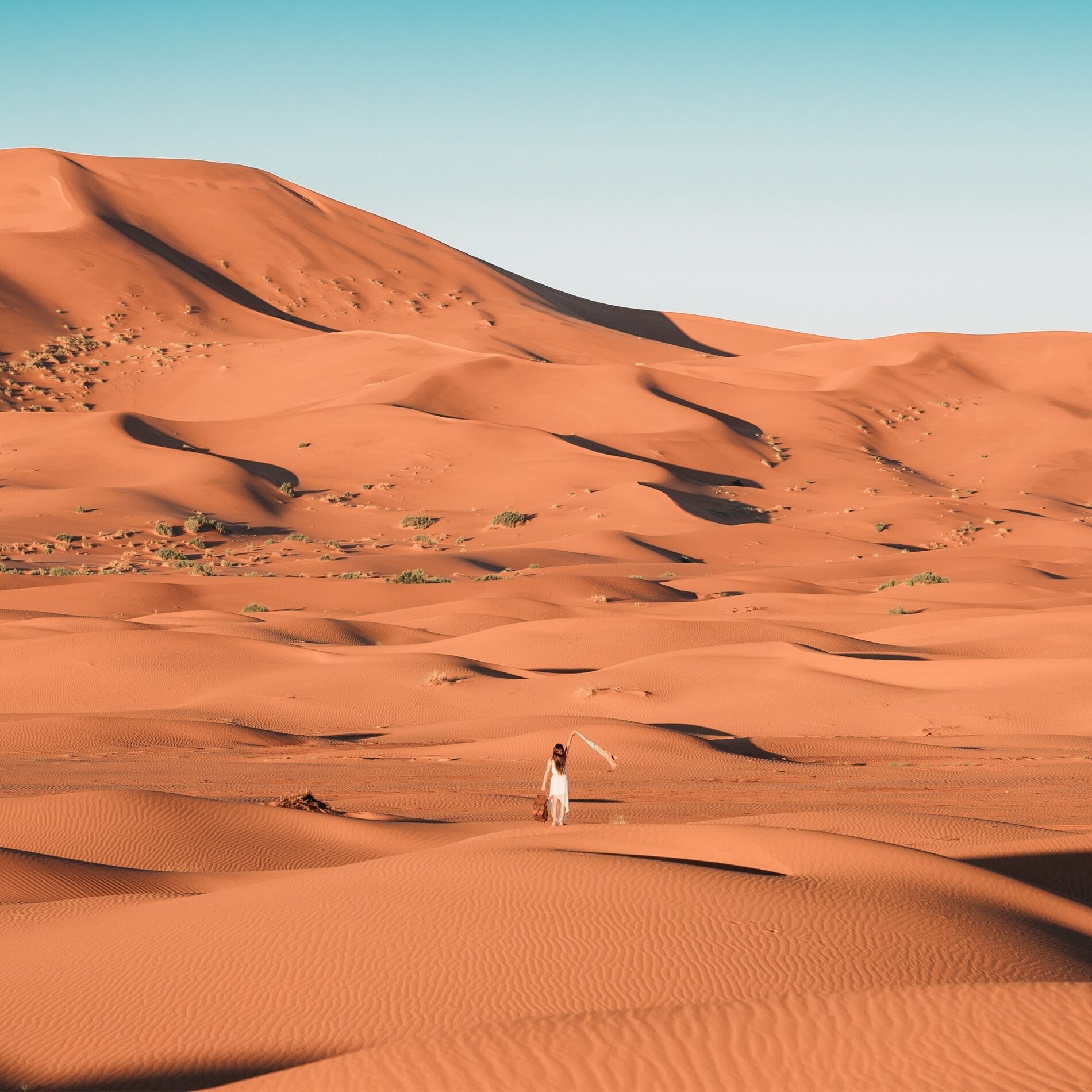 Album cover of Sahara