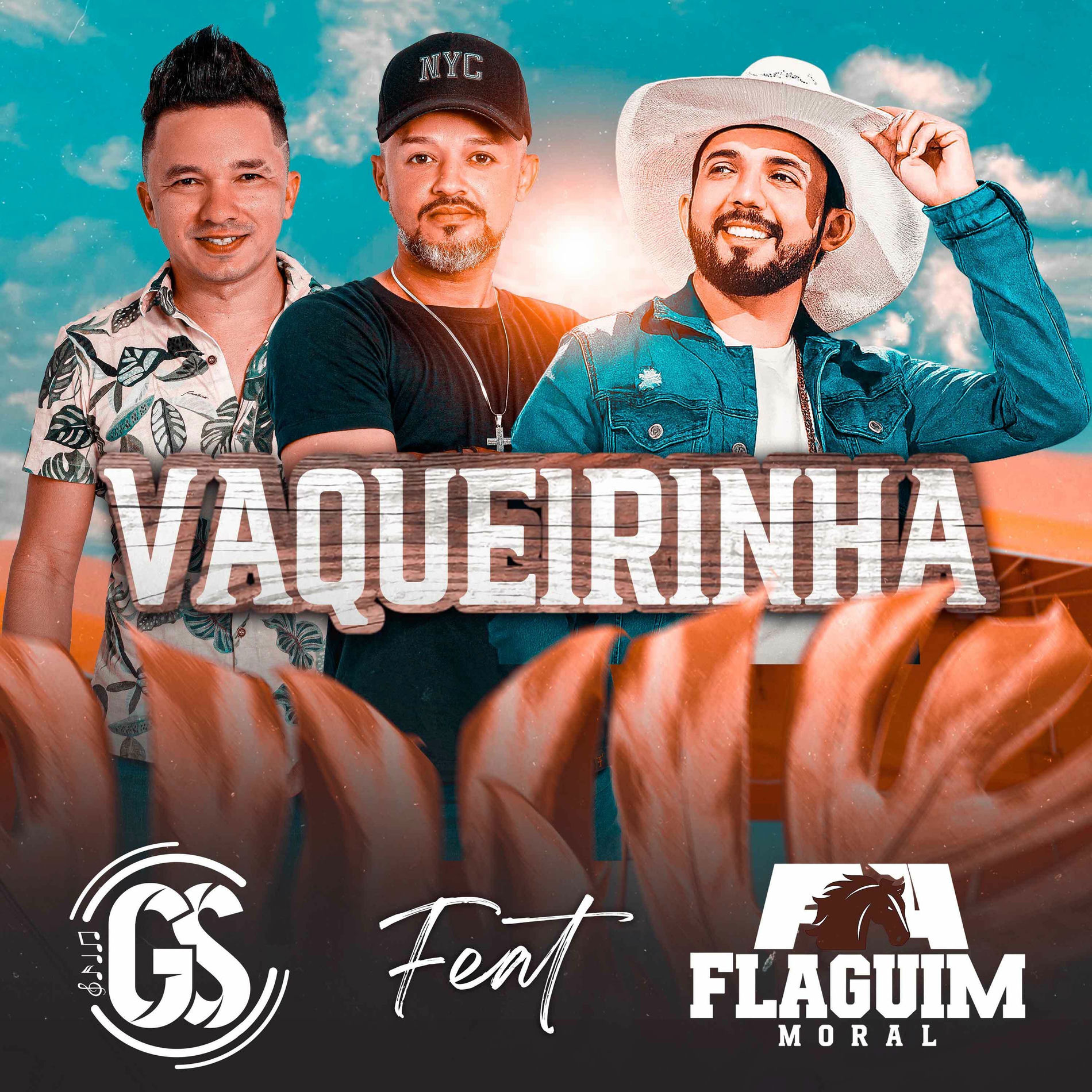 Album cover of Vaqueirinha