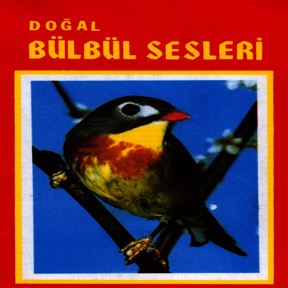 Picture of Doğal Bülbül Sesleri