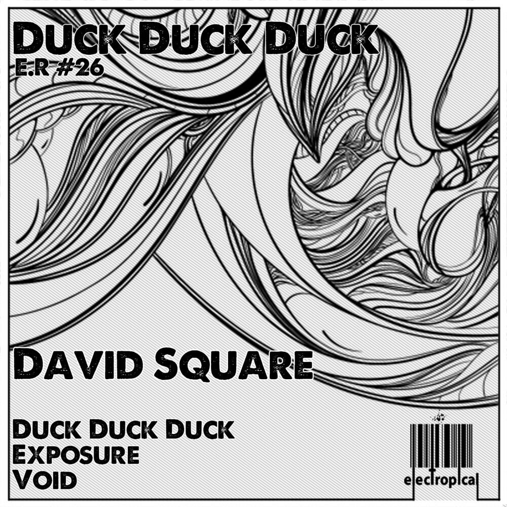 Picture of Duck Duck Duck