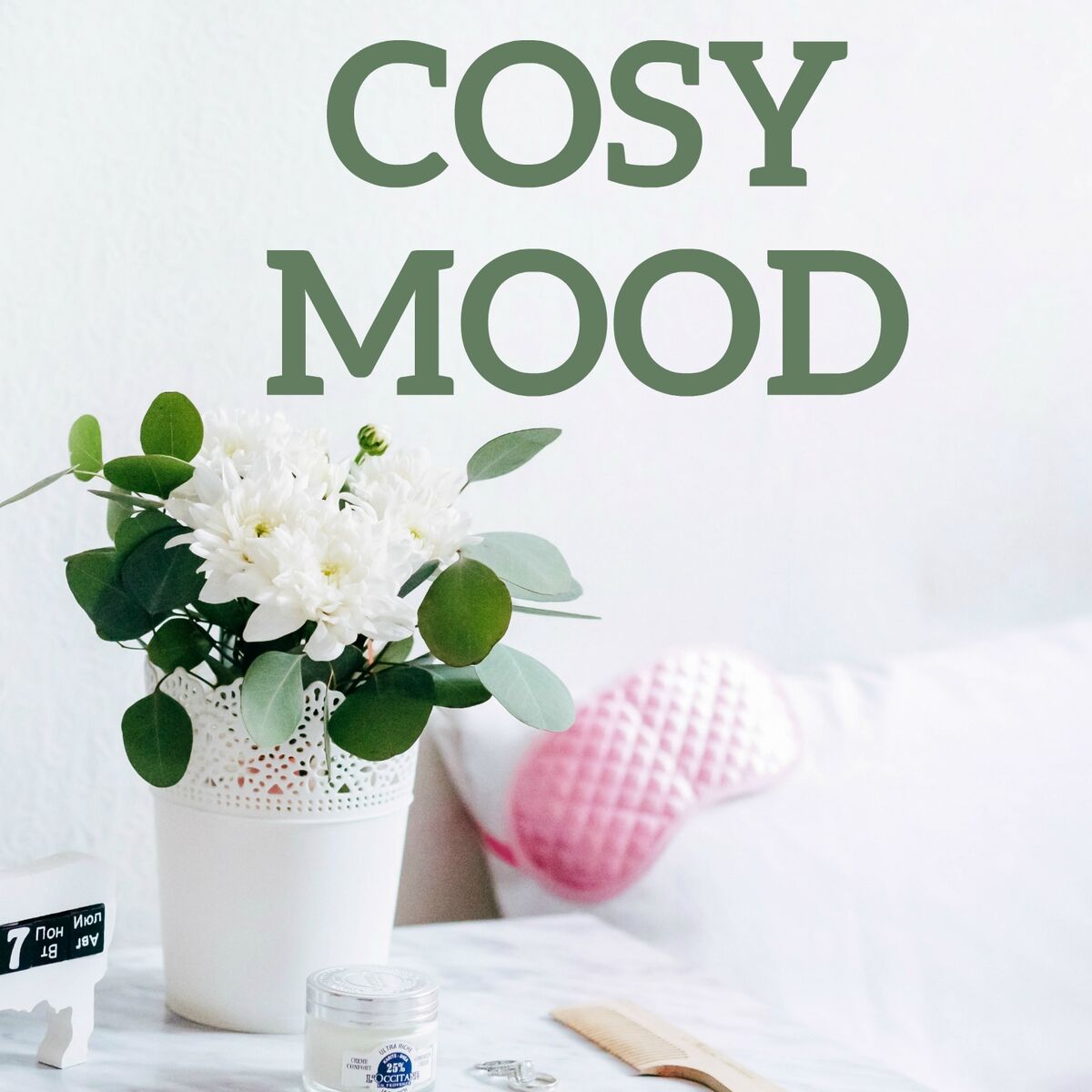 Album cover of Cosy Mood