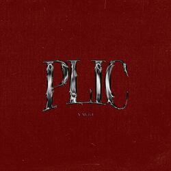 Cover of Plic