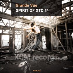 Cover of Spirit of XTC