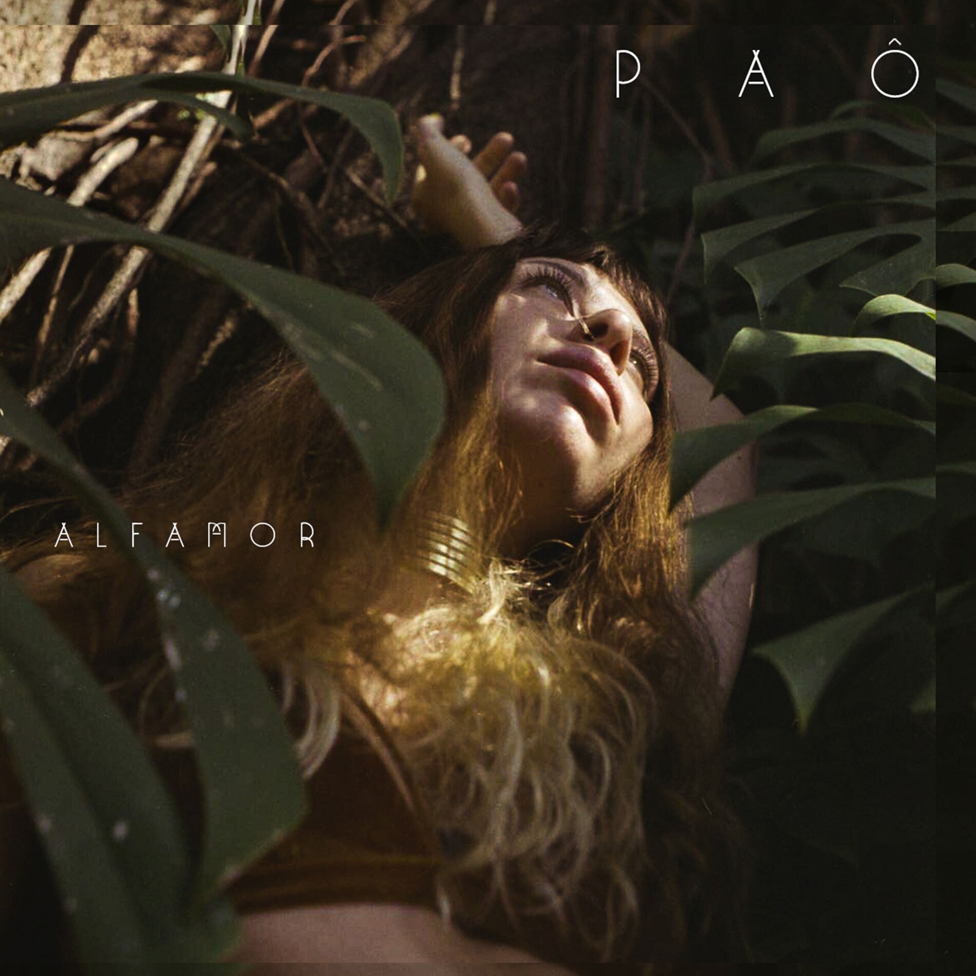 Album cover of Paô