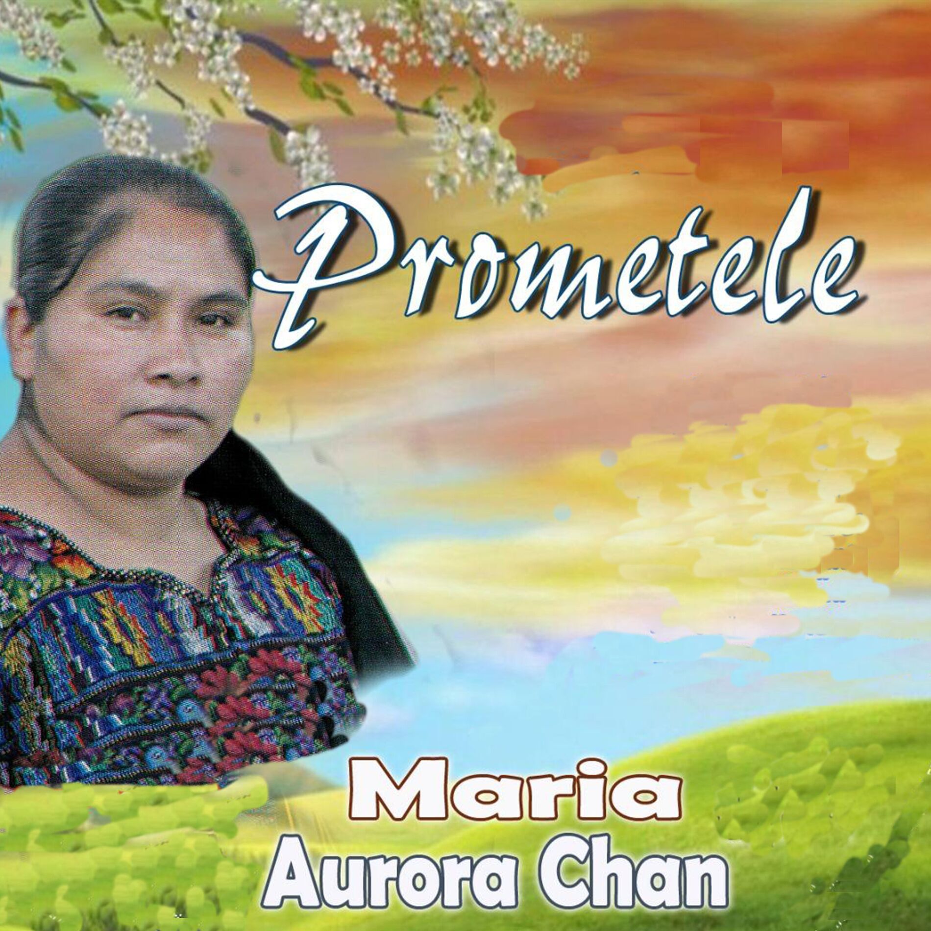 Album cover of Prométele