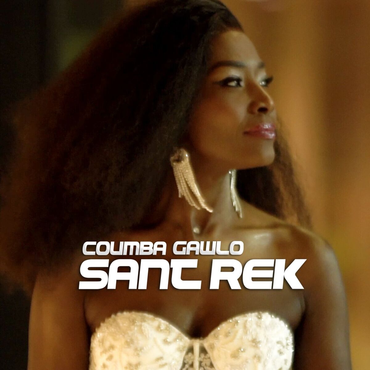 Album cover of Sant Rek