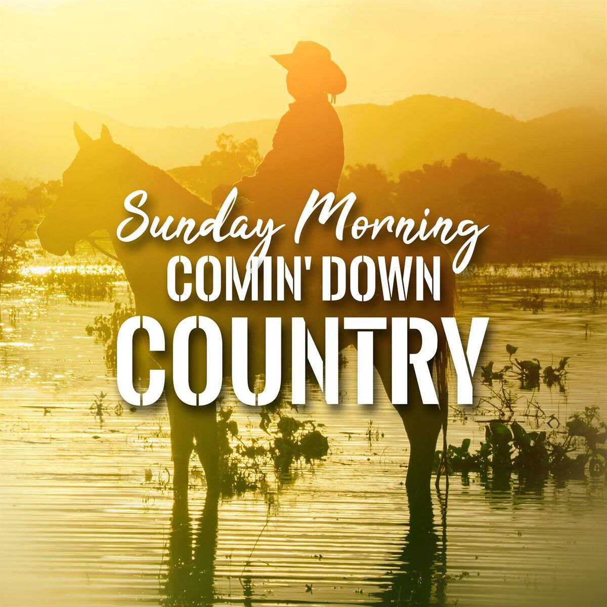 Album cover of Sunday Morning Comin' Down Country
