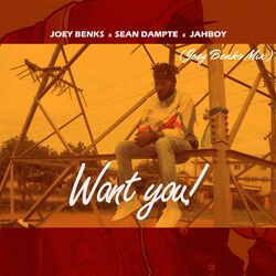 Cover of Want You
