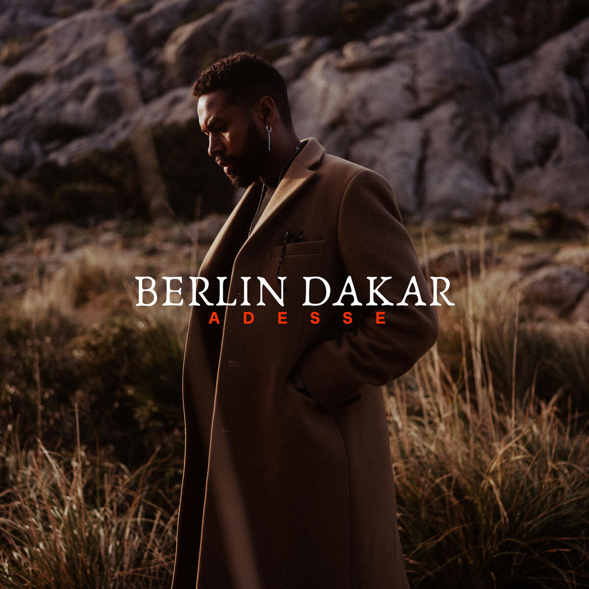 Album cover of Berlin Dakar
