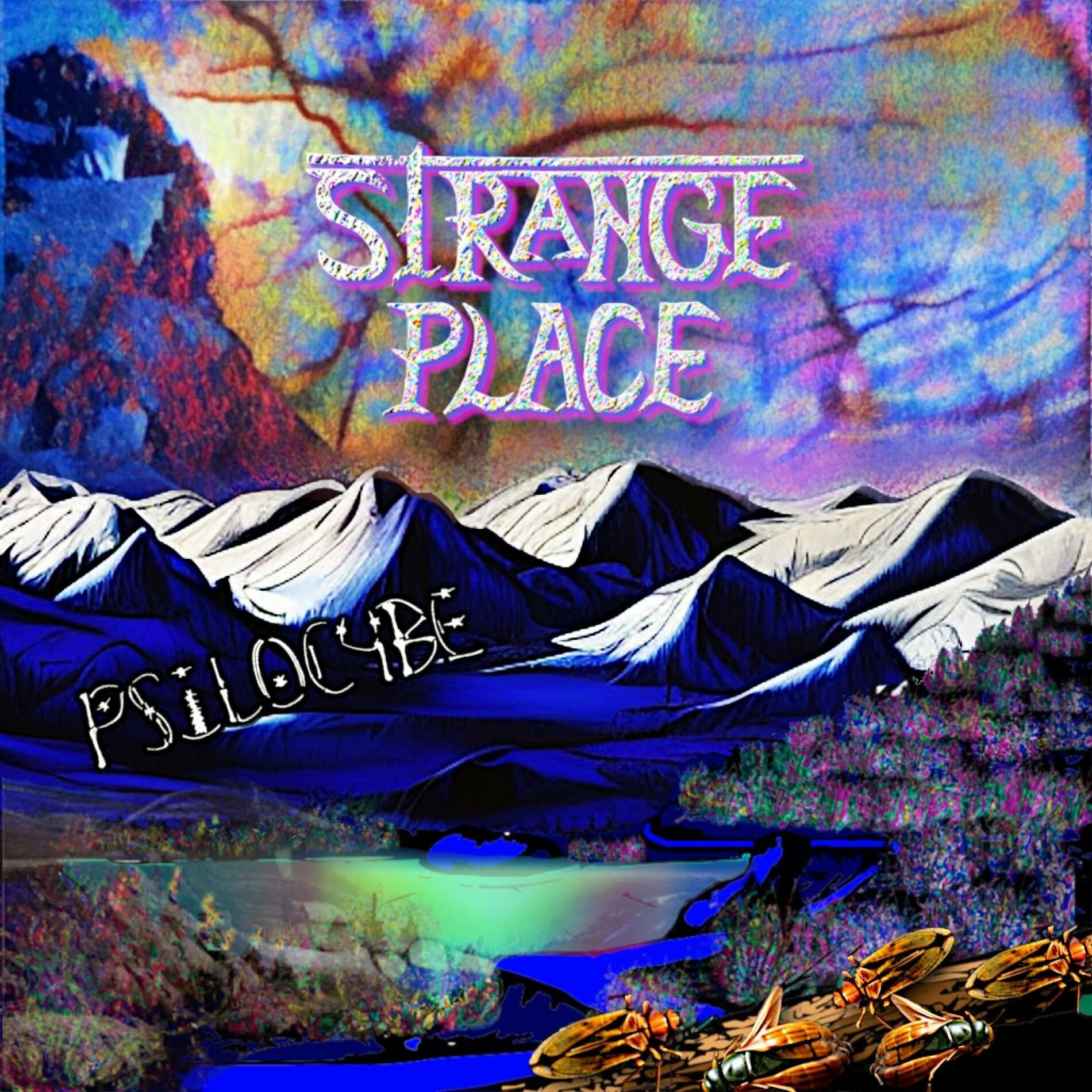 Album cover of Strange Place
