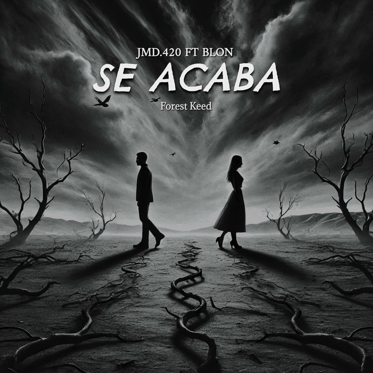 Album cover of SE ACABA