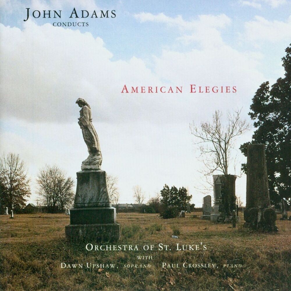 Picture of American Elegies