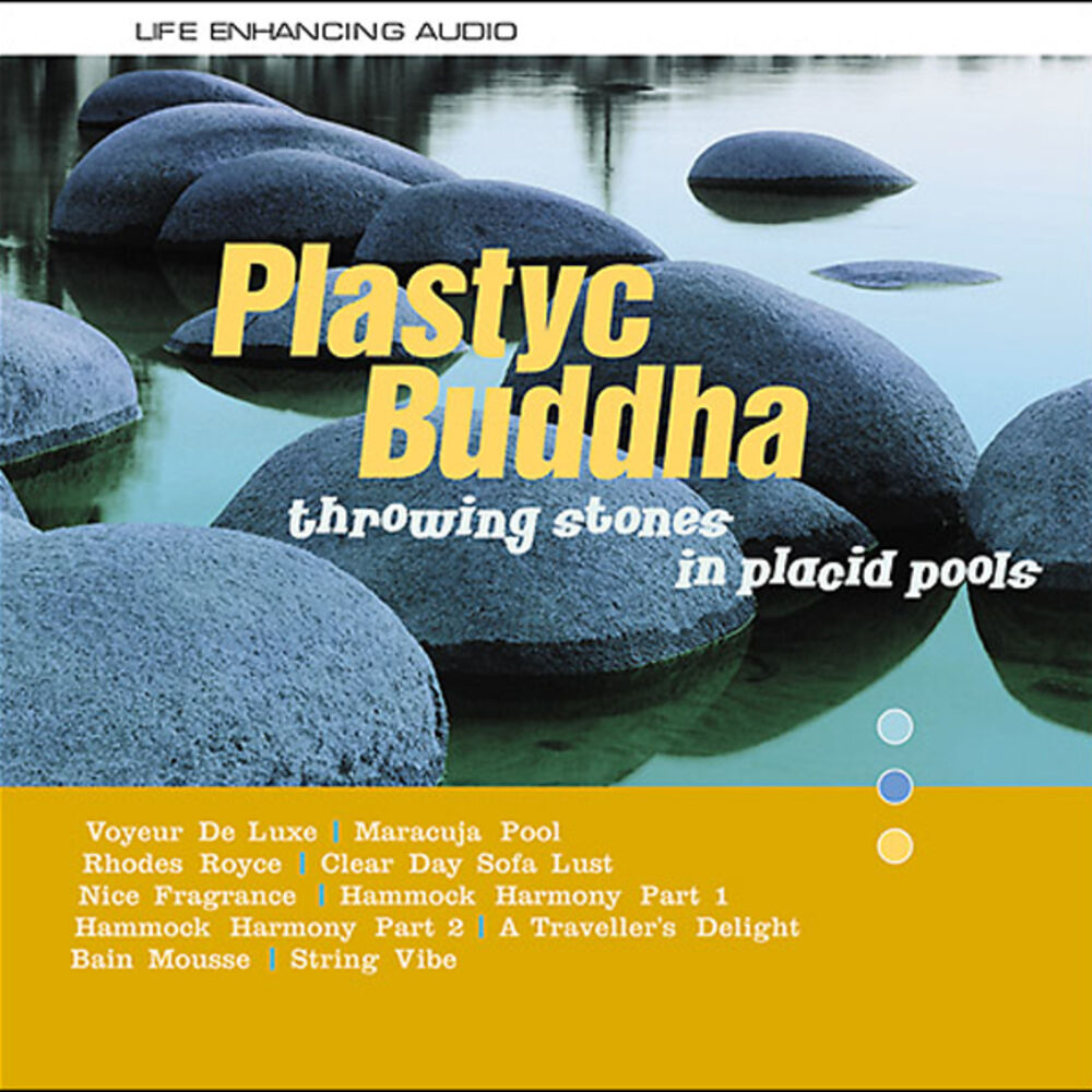 Picture of Throwing Stones In Placid Pools