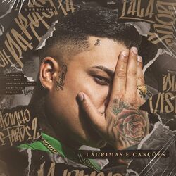 Cover of Lágrimas e Canções