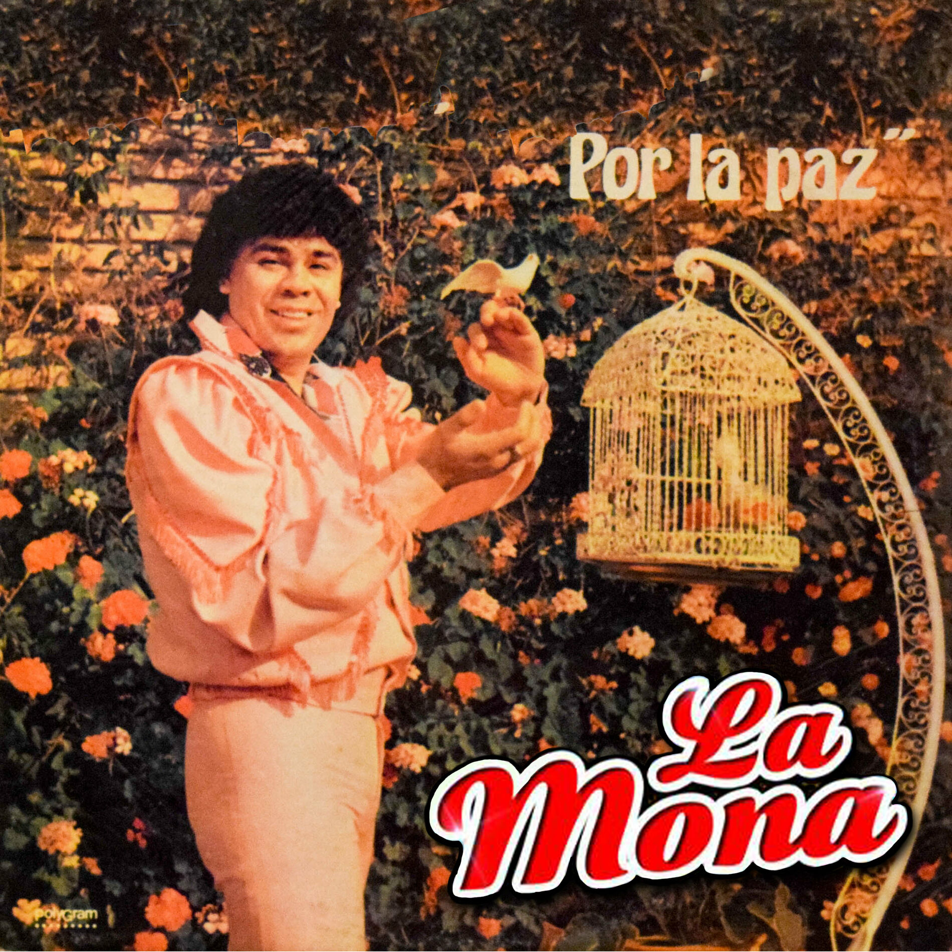 Album cover of Ay Corazón