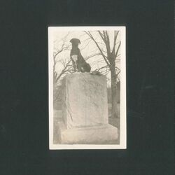 Cover of Buy the Numbers