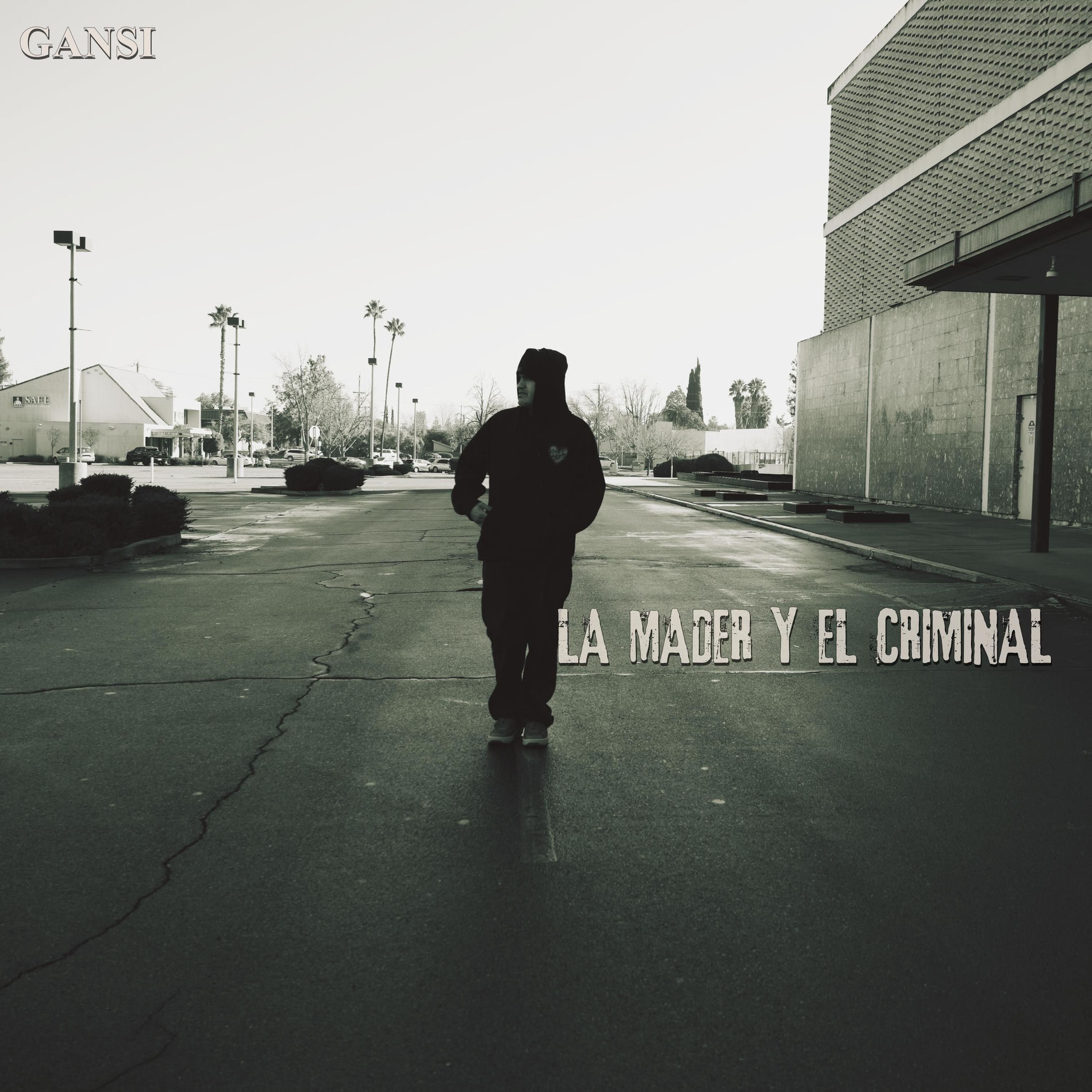 Album cover of LA MADRE Y EL CRIMINAL