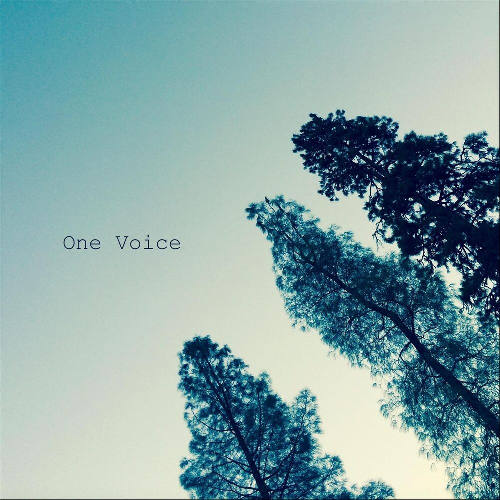 Picture of One Voice