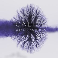 Cover of Wingless Birds