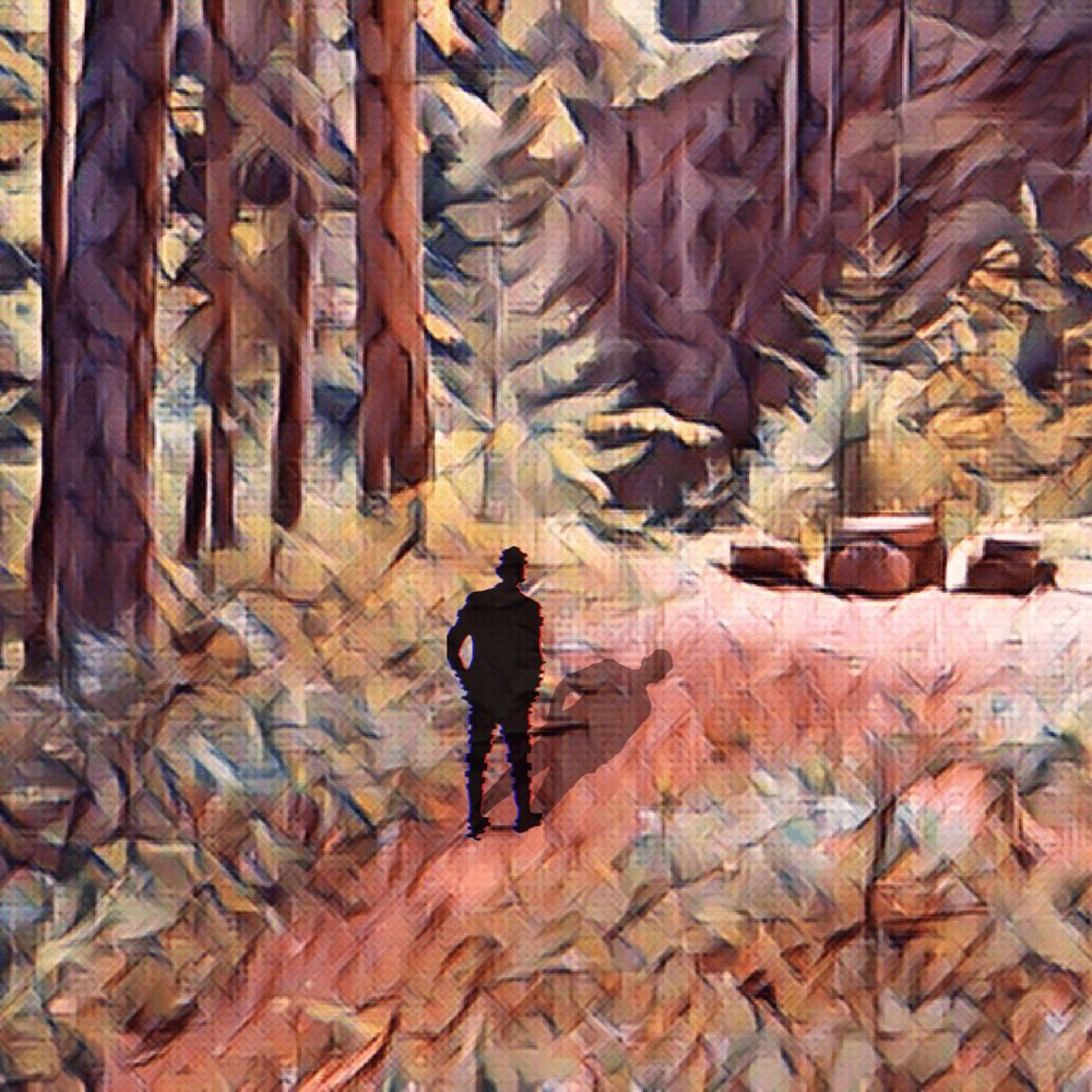 Picture of A Walk Through The Woods