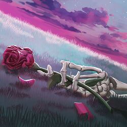 Cover of Grave