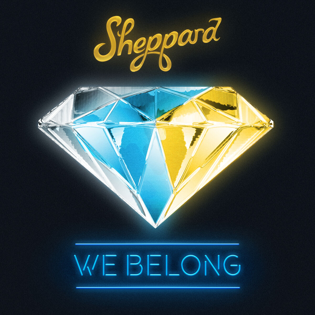 Album cover of We Belong