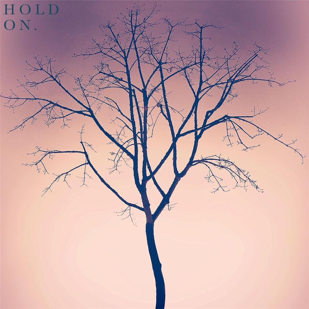 Picture of Hold On
